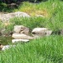 평강휴게소식당 이미지