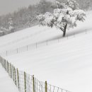 성철목장 이미지