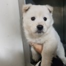 전주완산초등학교 이미지