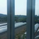 일월도서관 이미지