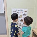 달의 모양이 변해요 이미지