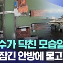 대홍수가 닥친 모습일까? 물에 잠긴 안방에 물고기가.. [뉴스.zip/MBC뉴스] 이미지