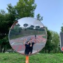 대일정육점 | 7월 첫째주 일기 (feat. 내기준 인생 평양냉면 만난 진영면옥)