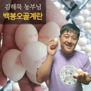백봉인
