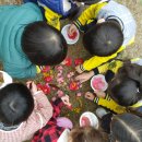 어방어린이집 이미지