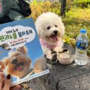 강아지천국 | [특별편] 2025 노원 반려동물 축제 후기 | 강아지 천국이 따로 없었어요🐶😍