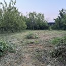 홍남농장 이미지