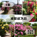 세평삼거리 | 5월 꽃구경 여기어때? - 수원 센트럴어반시티, 수원역 급수탑 / 실시간