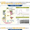 주식회사 벡스퍼트 이미지