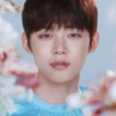 연준필름