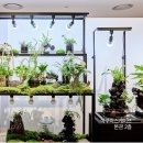 아쿠아플랜트디자인 이미지