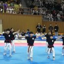 가람태권도 이미지