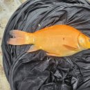 마정낚시터 이미지