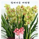 노랑꽃집 선물의 집 이미지