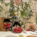 센트럴파크1 E동 | 다이너 송도점 센트럴파크 맛집 데이트