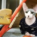 서림민박 이미지