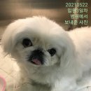 새롬동물병원 이미지