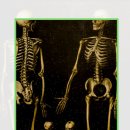 다본재활의학과의원 이미지