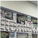 송도탑부동산공인중개사사무소 이미지