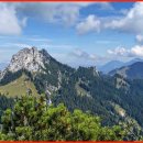 대한이화학 이미지