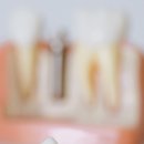 미인플란트치과의원 이미지