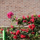 마곡중학교 이미지