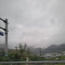 어비 포레스트 이미지