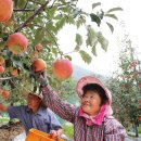 삼애농원 이미지