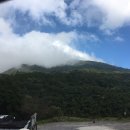 양밍산