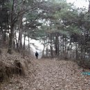 서흥목장 티스토리