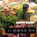 진영카써비스 | 진영고기집 일행 진영점 솥뚜껑암돼지 1+ 실속세트 미나리 조합 후기