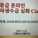 그레이스코퍼레이션 이미지