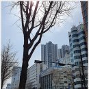 태성당 이미지