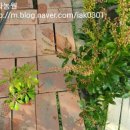 동화조경농원 이미지