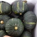 연우농원 이미지