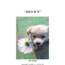 재단법인 대승불교 양우회유지재단 이미지