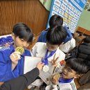 방탄유도관 이미지