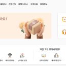 전국의전장례토탈 티스토리