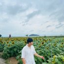 교동면 난정저수지 이미지