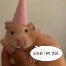 에르메스호