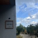 스테이리라 이미지