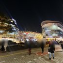 태경 | 가락시장소고기 맛집 태경축산 정육점 방문후기