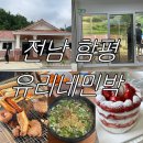큰집민박 | 전남 함평 여행[함평유리네민박 후기] 함꼬숩ㅣ큰집나주곰탕ㅣ키친205