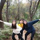 약수골캠프촌 숲속캠핑장 이미지