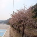 봉학골오리 이미지