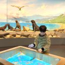 땅끝해양 자연사박물관 | 해남 땅끝마을 가볼만한곳 땅끝해양자연사박물관