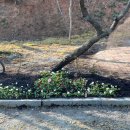 장기농장 이미지