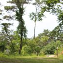 금빛솔여울에든가오름 이미지