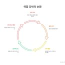 오남세탁 이미지