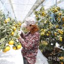 제주 이미지